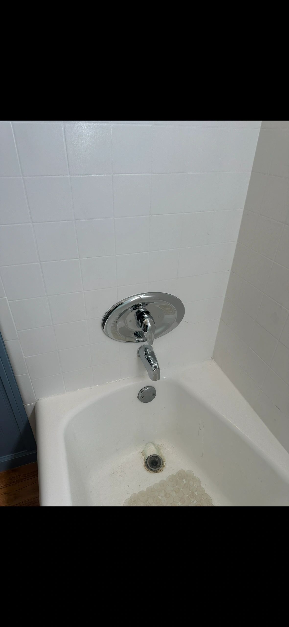 Bathtub & Faucet Service